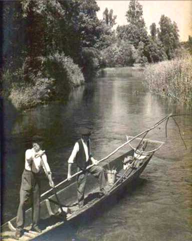 Grovater beim Abfischen der klaren Gieen mit dem “Setzbrren”, 1939